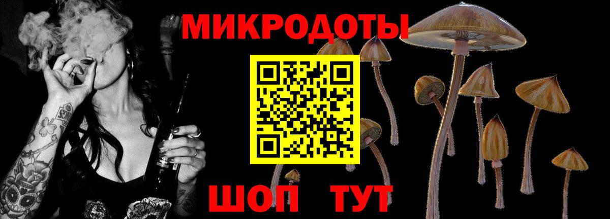 Химки  Галлюциногенные грибы Magic Shrooms  наркотики  Вход с VPN 